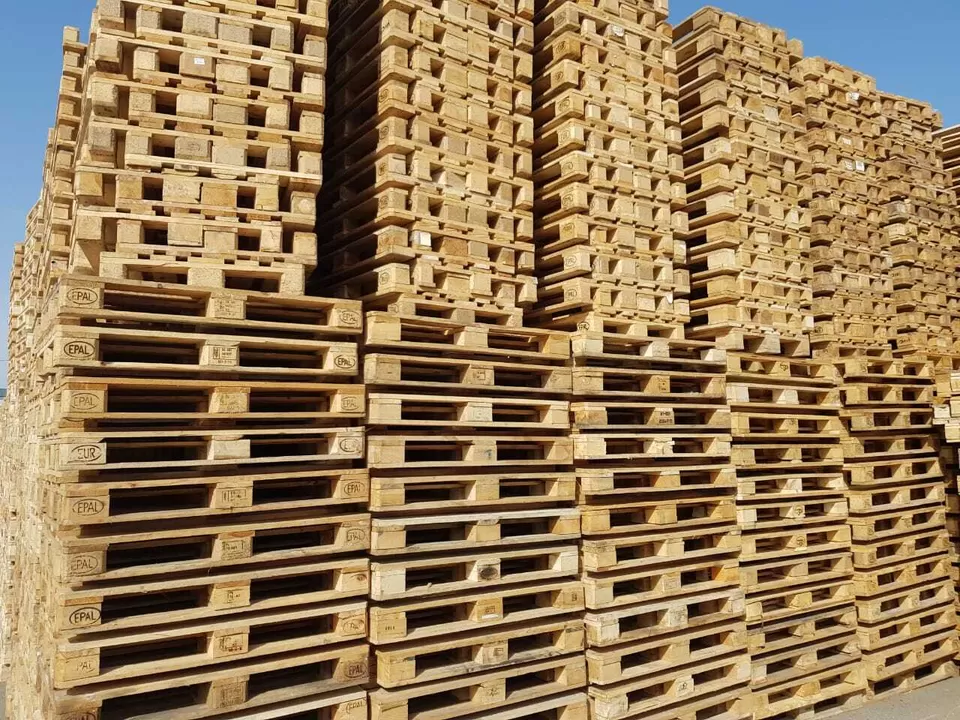 Palets de Patrón de Turkuaz